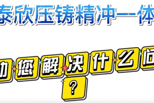 PA直营压铸精冲一体化，帮助您解决什么问题？