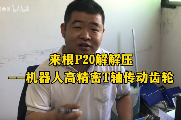 来根P20解解压--机器人精密T轴传动齿轮
