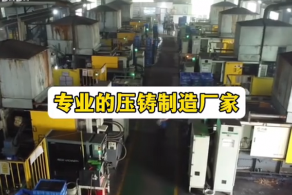 专业的压铸制造厂家
